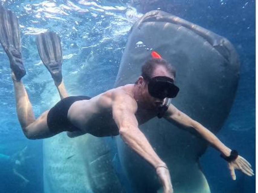 Pablo Motos buceando con un tiburón ballena.