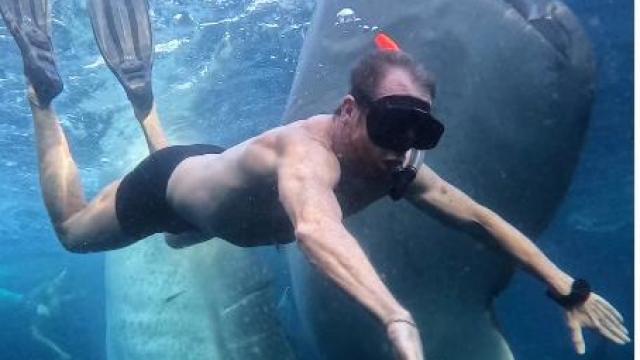Pablo Motos nadando con tiburones ballena durante sus vacaciones.