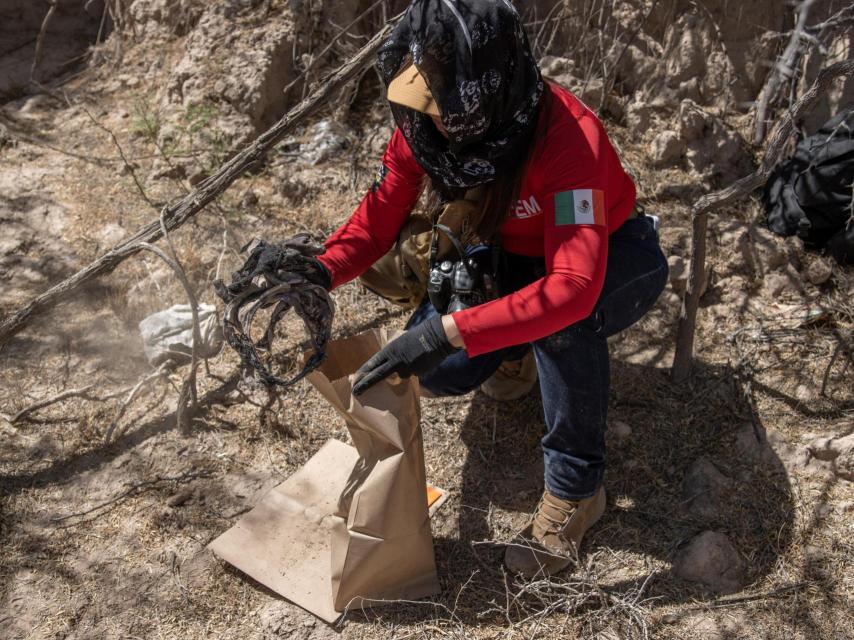 Una perita de la Fiscalía Especializada en Mujeres (FEM) de Ciudad Juárez recoge prendas de ropa interior femenina encontradas entre los matorrales durante el operativo de búsqueda