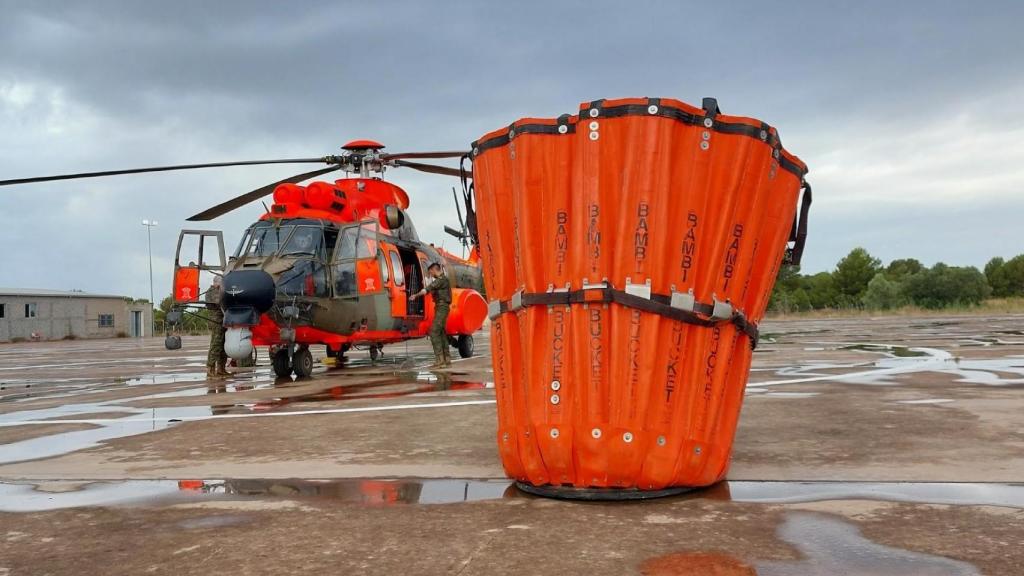 Cougar del BHELEME II