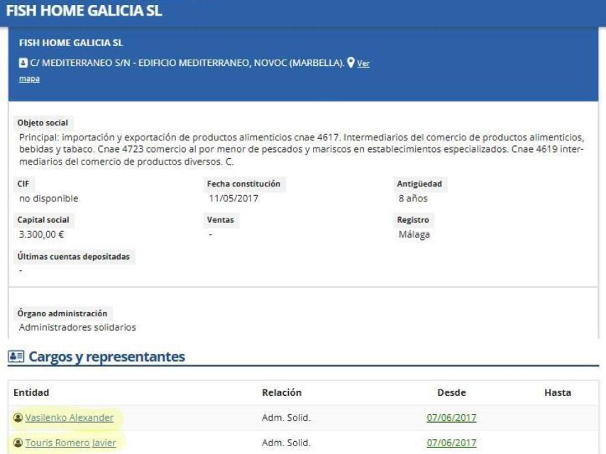 Ficha de Fish Home, una sociedad hoy extinta que constituyeron hace ocho años Vasilenko y el primer teniente de alcalde de Vilanova de Arousa, Javier Tourís.