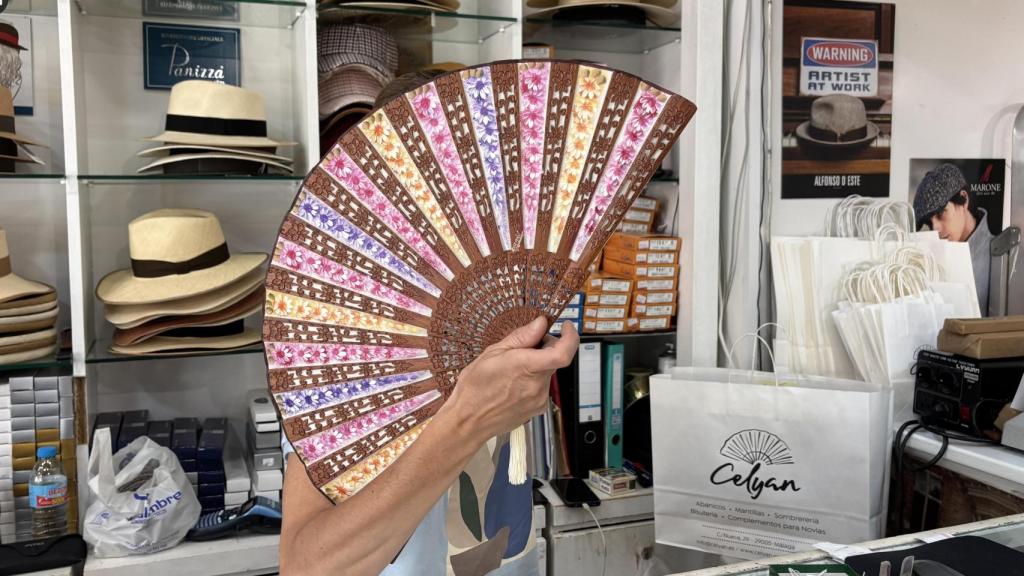 Abanico de Ceylán, en Málaga.