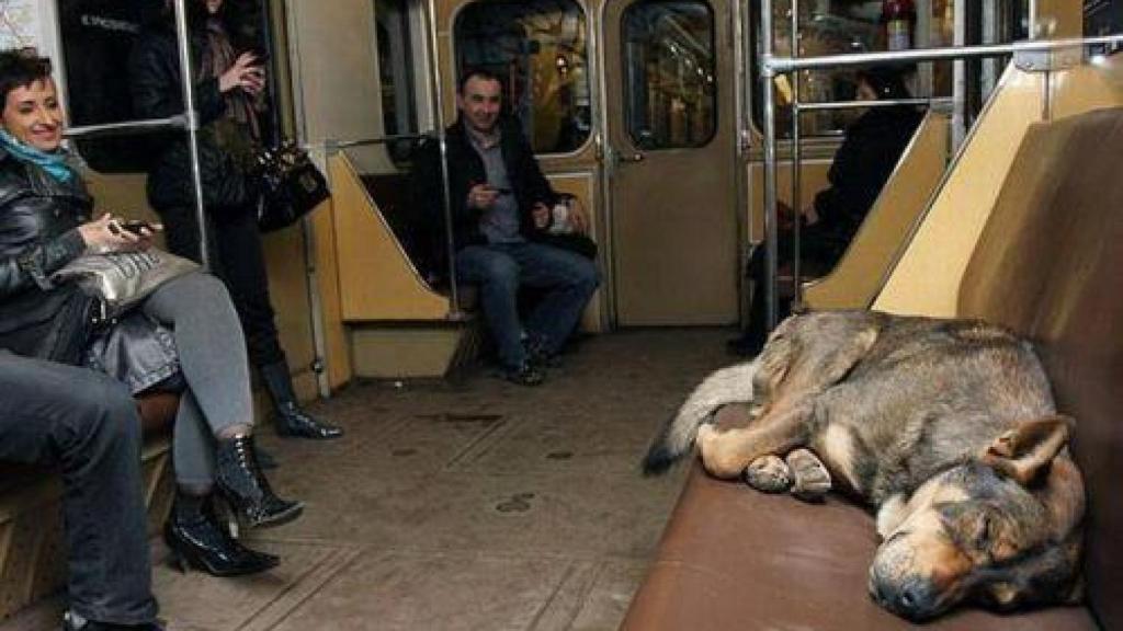 Escena ilustrativa del curioso hecho en el metro de Moscú.
