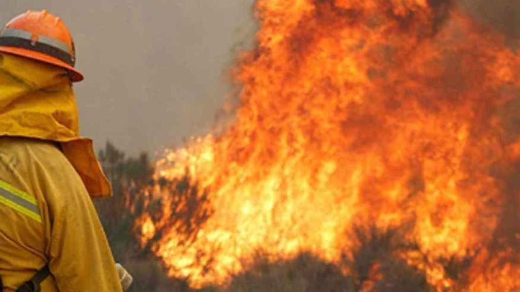 Bomberos forestales luchan contra el fuego