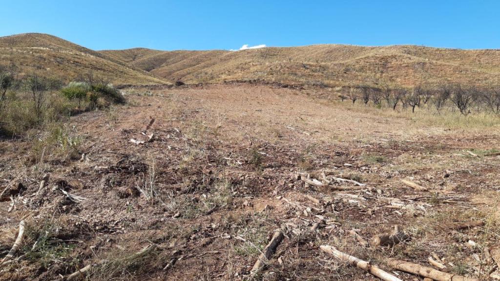 Así está la zona afectada por el incendio de Ateca, tres años después