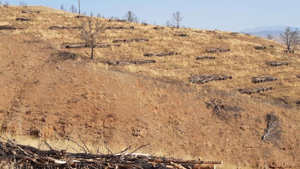 Así está la zona afectada por el incendio de Ateca, tres años después