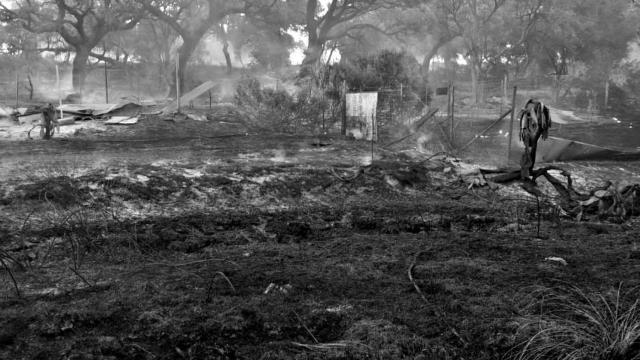 Superficie quemada por el incendio de pastos en la zona rural de Jerez de la Frontera (Cádiz)