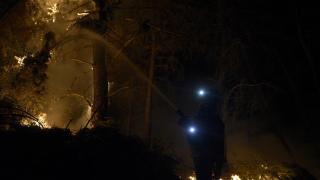 Bomberos forestales tratan de extinguir el fuego en Vences, en Monterrei