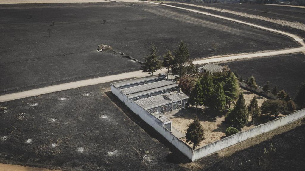 Imagen aérea de la superficie quemada en Abejera.