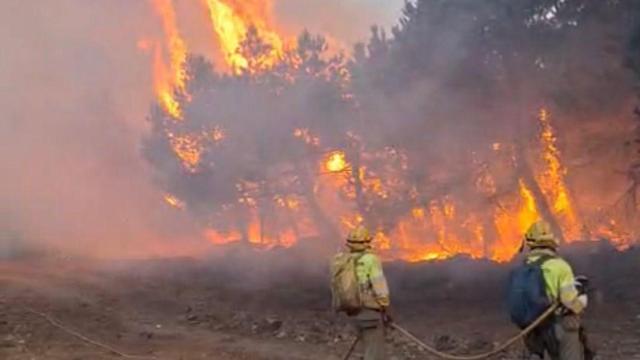 Las brigadas de extinción de incendios de Talher, filial de Clece, se esfuerzan  para acabar con las llamas que arrasan Castilla y León