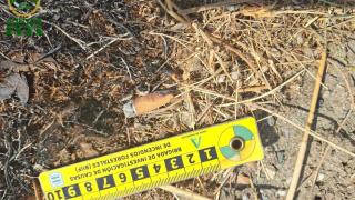 La colilla que ha causado el incendio de Mijas.