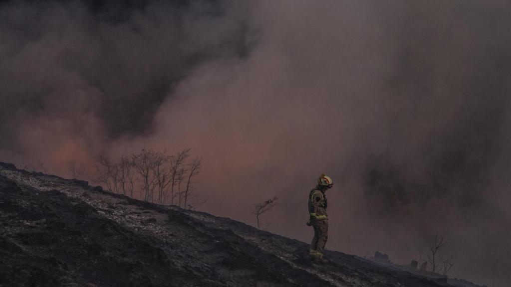 Un bombero forestal en el incendio en la localidad de Maceda (Ourense).
