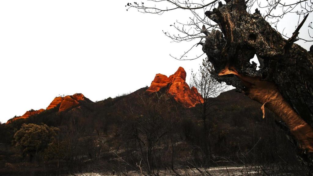 Paraje quemado en el espacio natural de Las Médulas en la provincia de León.