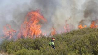 Incendio en Puercas, sierra de la culebra, Zamora