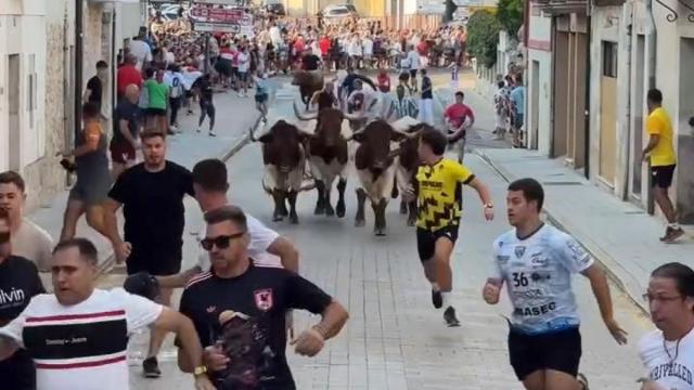 Peñafiel vive un primer encierro lleno de emoción y deja dos heridos leves