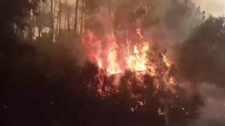 Los incendios siguen azotando a España: Galicia y Castilla y León, en jaque por las llamas.