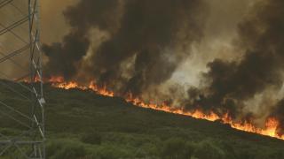 Incendio forestal se acerca a Vilela.