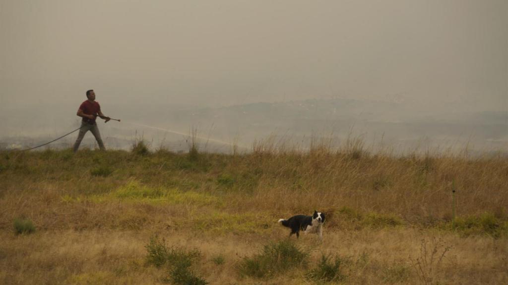 Imagen de uno de los incendios.