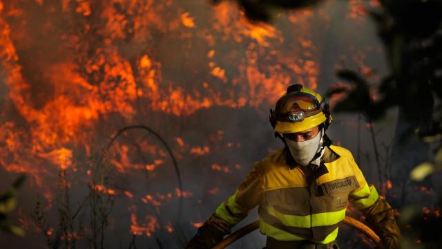 Incendio forestal en El Payo (Salamanca) en nivel 2