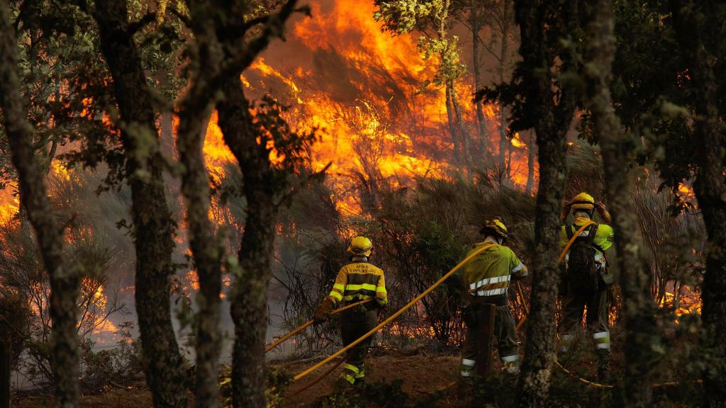 Imagen del incendio forestal en El Payo (Salamanca) este verano.