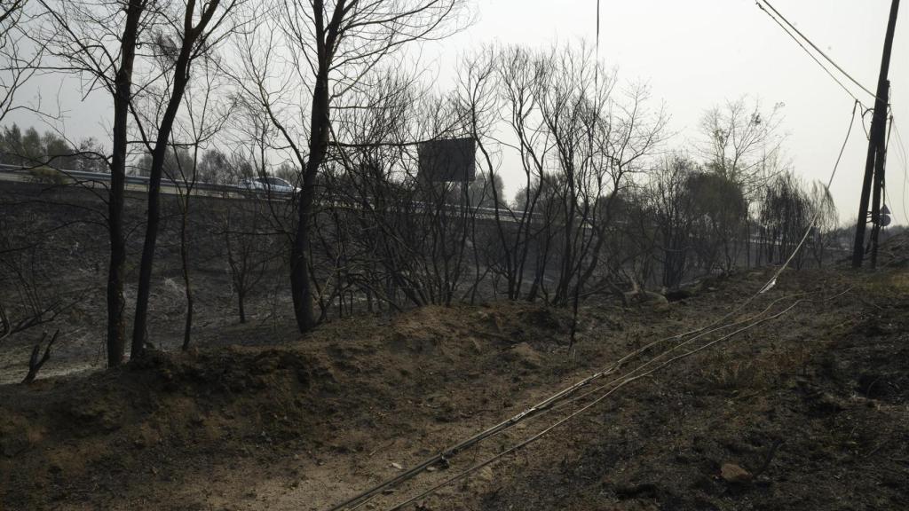 Imagen de la acción del fuego en Ourense.