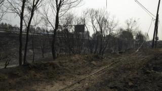 Imagen de la acción del fuego en Ourense.