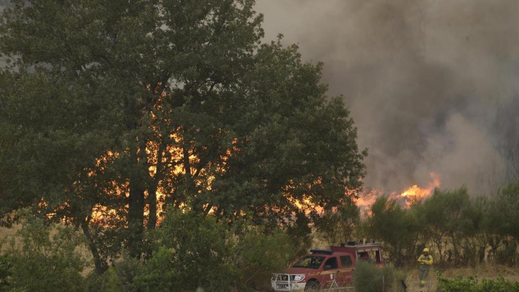 Incendio forestal se acerca a Vilela, a 15 de agosto de 2025, en Vilela, Cualedro, Monterrei, Ourense, Galicia (España).