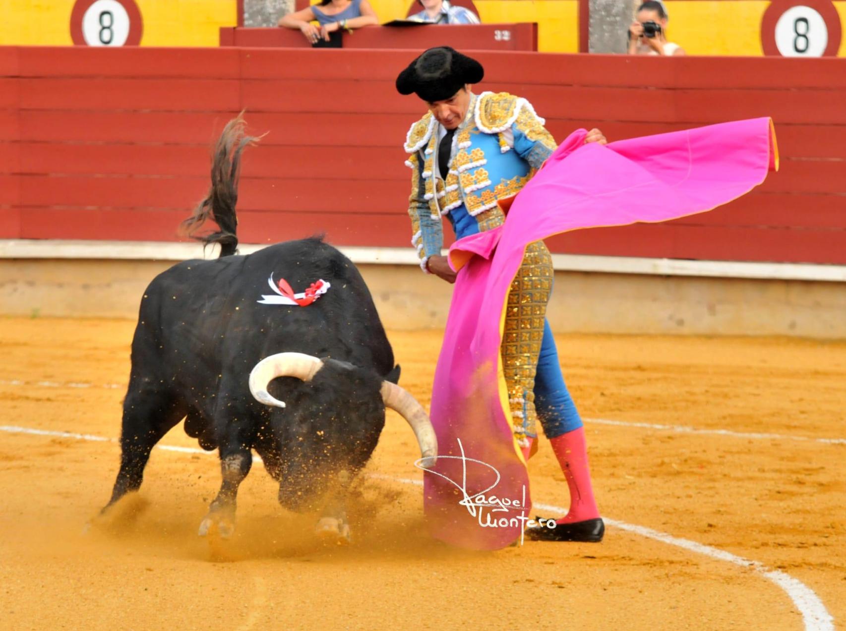 Corrida de toros en Ciudad Real.