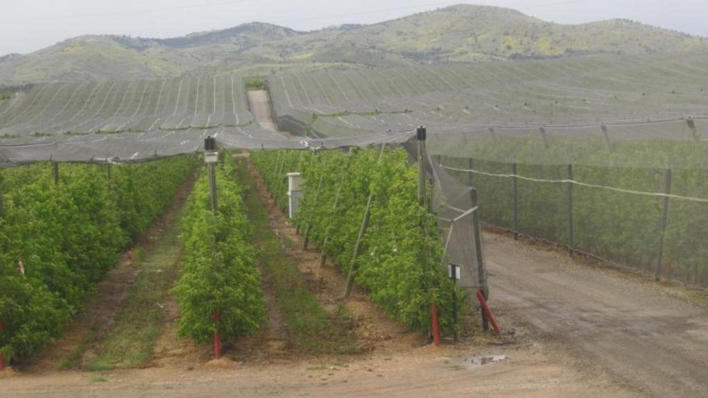 Instalaciones de Frutas Lázaro en Calatayud.