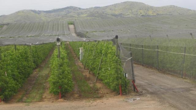 Instalaciones de Frutas Lázaro en Calatayud.