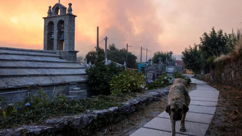 Un perro camina junto a un cementerio mientras el humo se eleva desde un incendio forestal en As Fermosas, (Ourense).