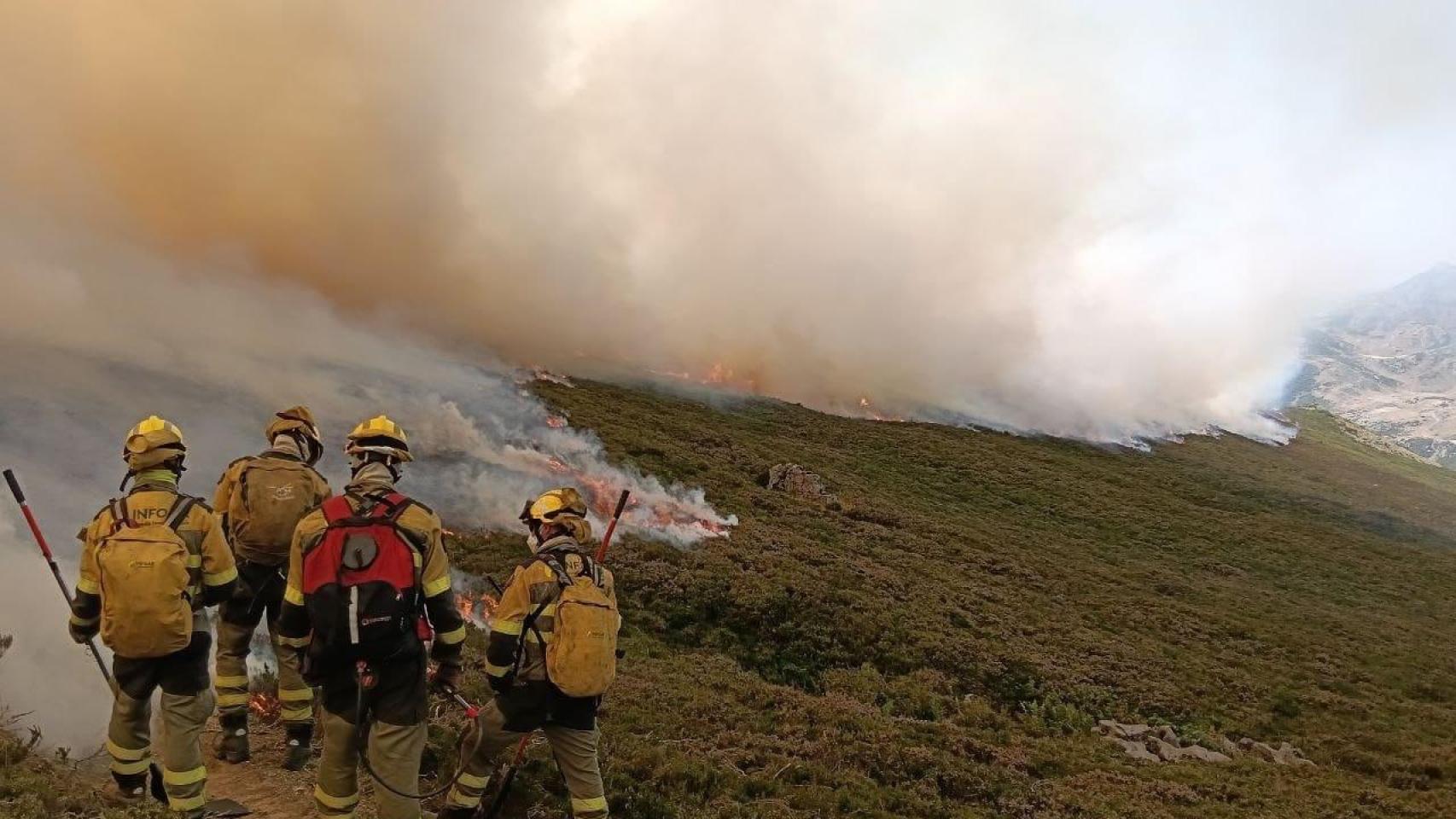 Bomberos forestales participan en la extinción de un incendio.