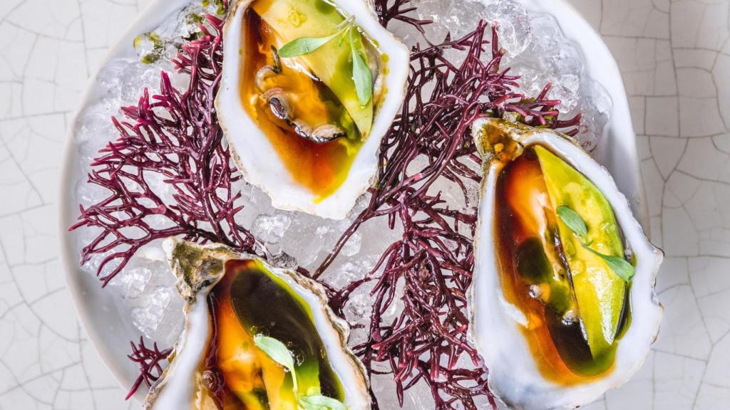 Las ostras de Oroya.