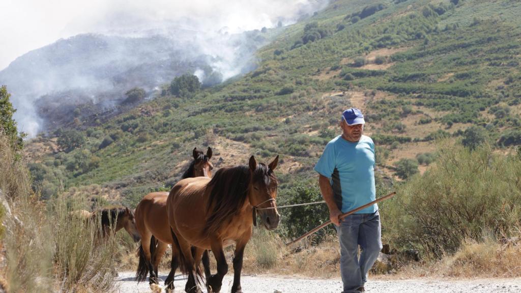 Incendio en Porto de Sanabria