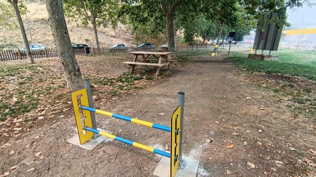 Agility en la calle Ferrocarril de Zamora