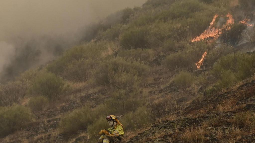 Incendio en los Picos de Europa.
