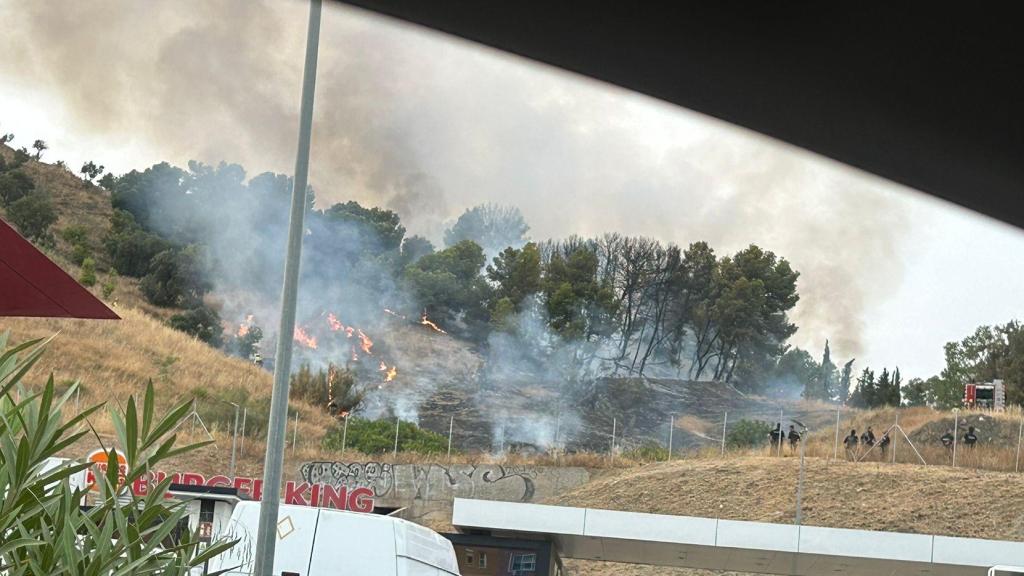 El incendio forestal en el Monte Coronado.