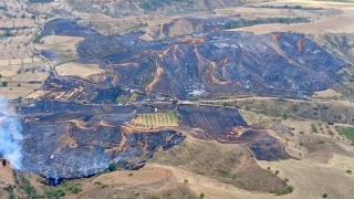 El incendio de Daroca fue el peor de la última semana. Calcinó 21 hectáreas.