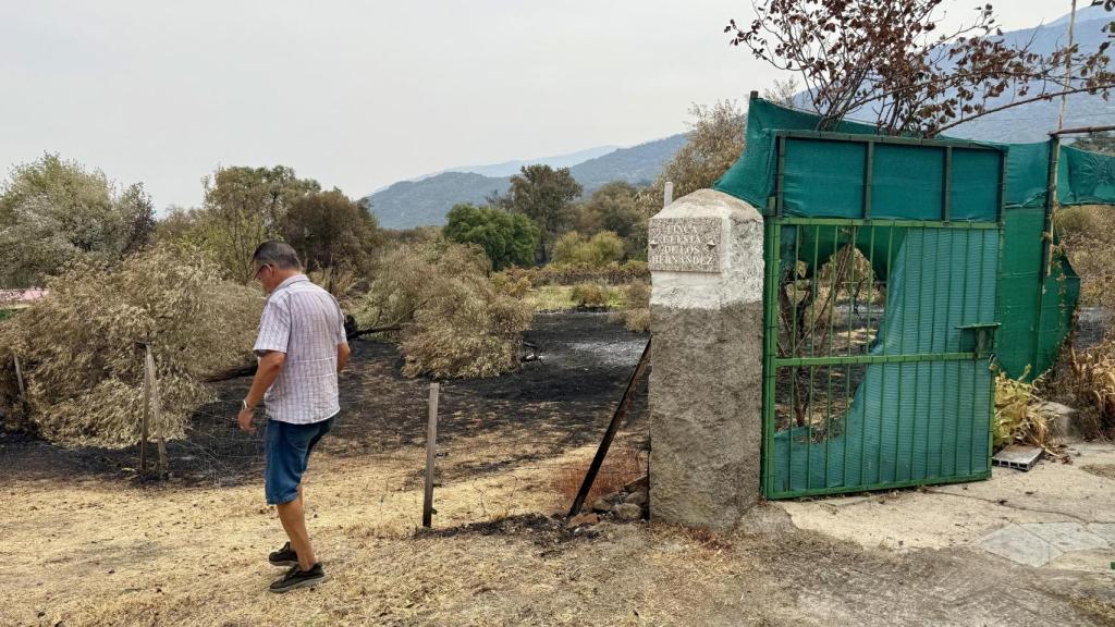 Al lado de la entrada de la casa de Ángel todo eran olivos. Este año estaban preciosos, dice.