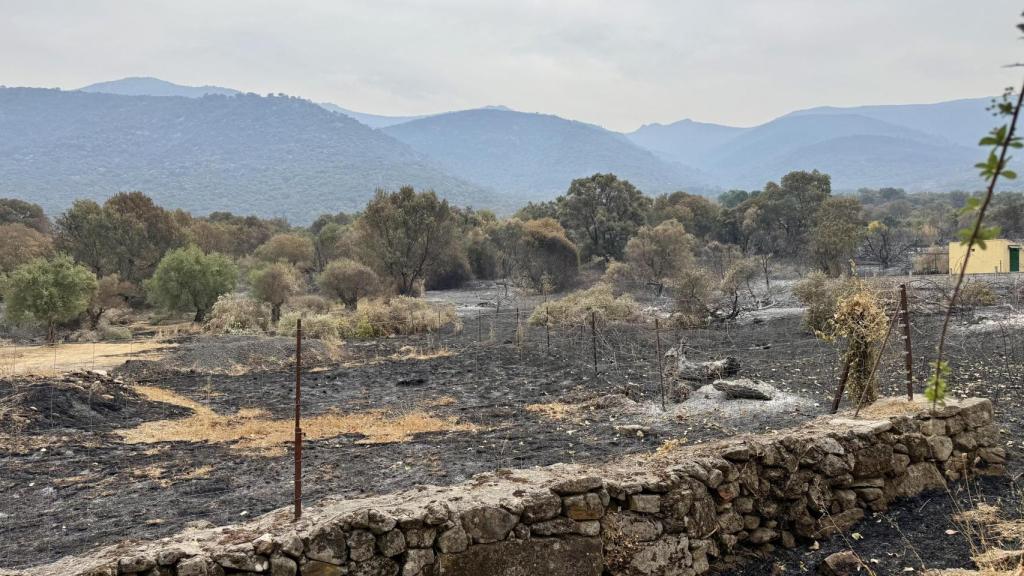 El resto de vecinos de Jarilla confirman la premisa de Ángel. No ha venido ningún político ni persona de protección civil a evaluar daños, explican.