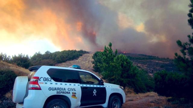 Incendio forestal en Jarilla