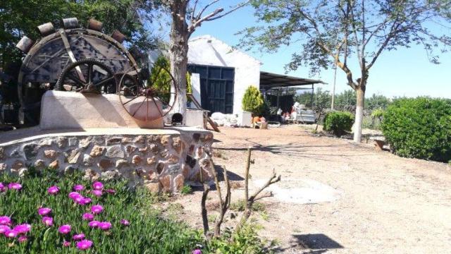 Imagen de la finca puesta a la venta. Foto: Agroanuncios