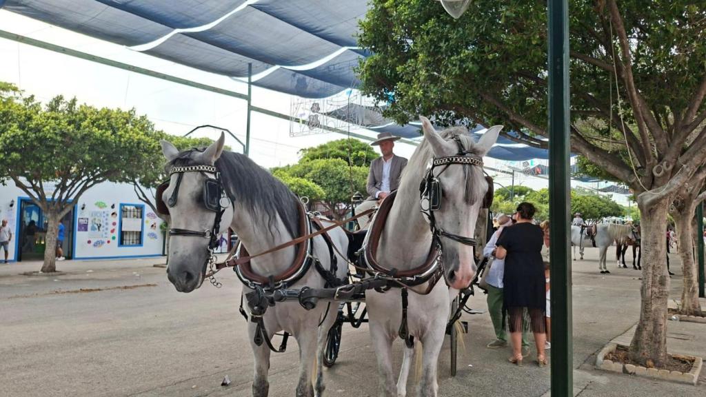 Andrés junto a dos de sus caballos en la Feria de Málaga.