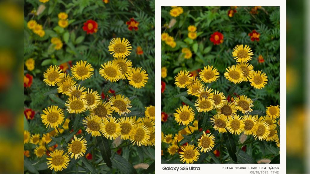 La nueva marca de agua de los Samsung Galaxy