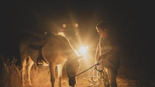 Miguel, pastor de Sanabria, llega a Quintana con su caballo después de 4 horas de bajada de la sierra con las vacas.