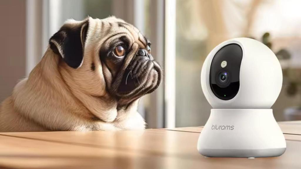 Cámara de vigilancia Blurams 2K