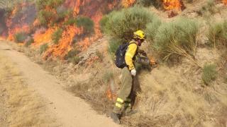 Incendio en la Sierra de Béjar cerca de Candelario
