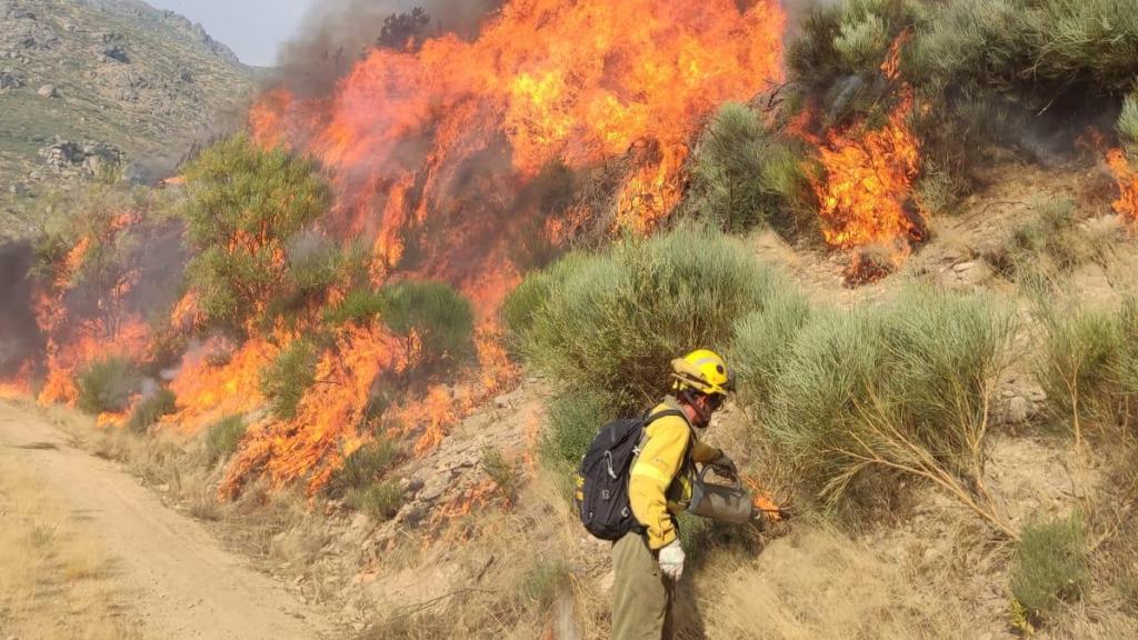 Incendio en la Sierra de Béjar cerca de Candelario