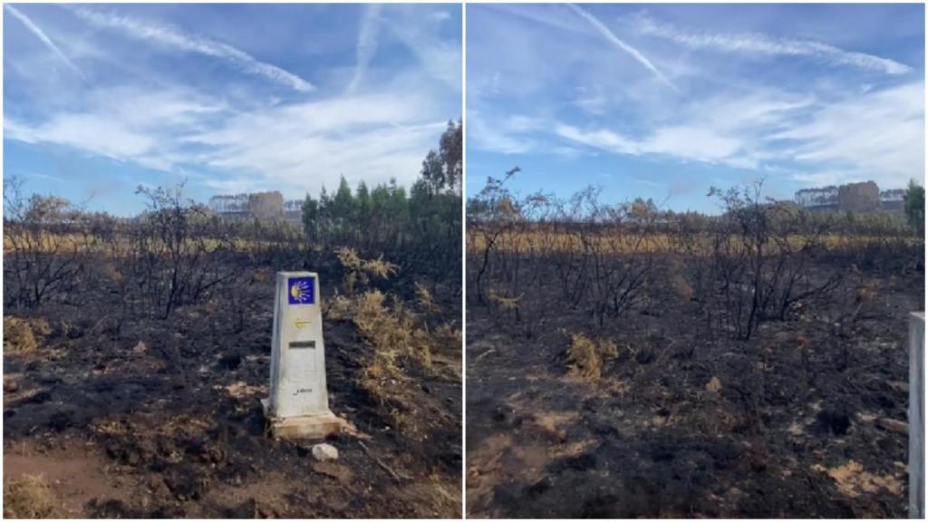 Devastación de un incendio en el Camino de Santiago