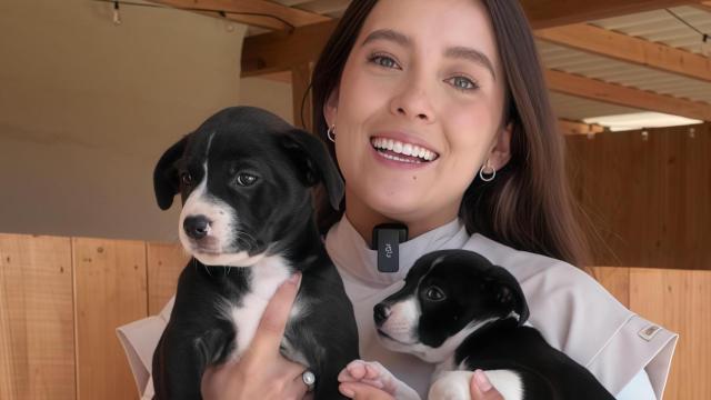 Laura Londoño junto a los cachorros.